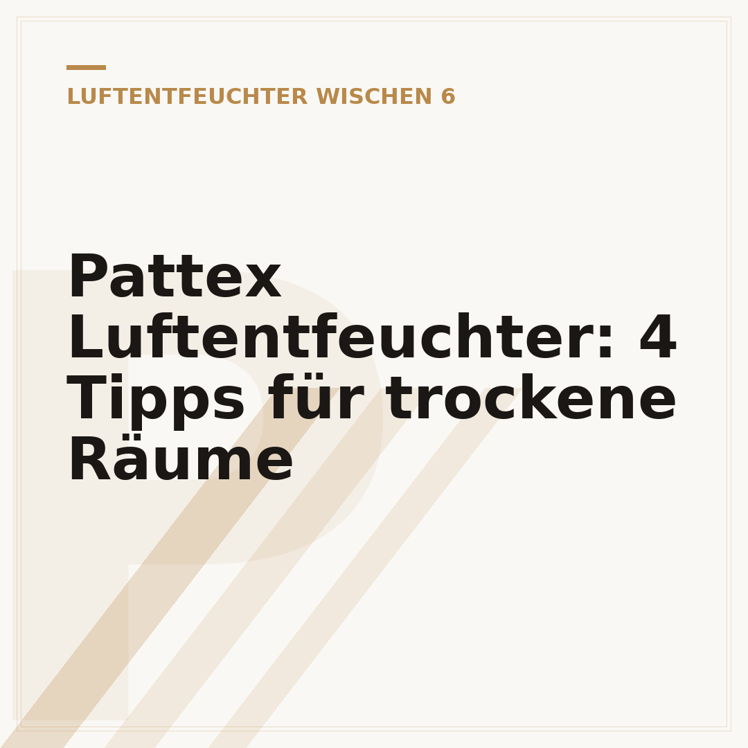 Pattex Luftentfeuchter: 4 Tipps für trockene Räume