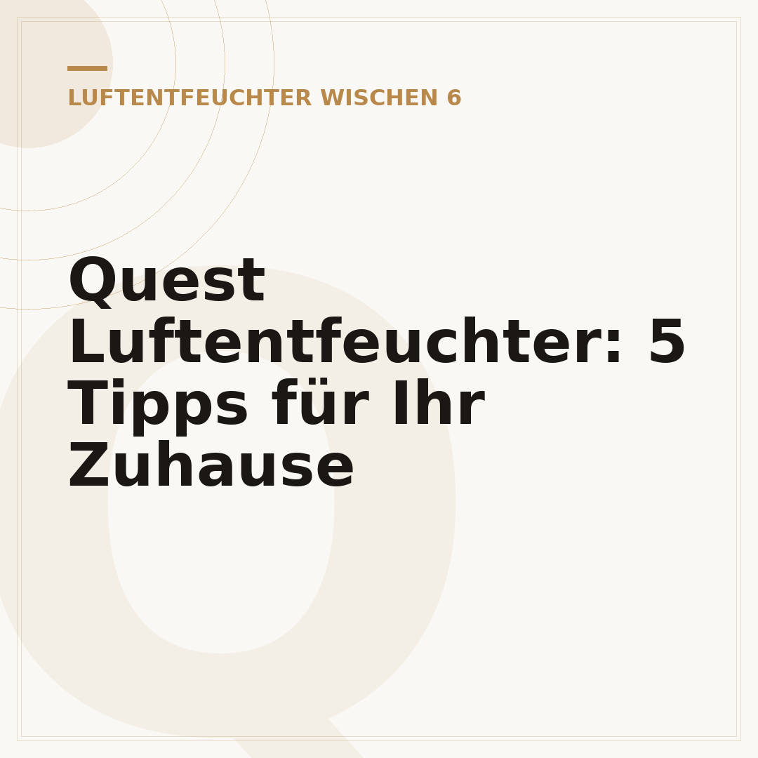 Quest Luftentfeuchter: 5 Tipps für Ihr Zuhause
