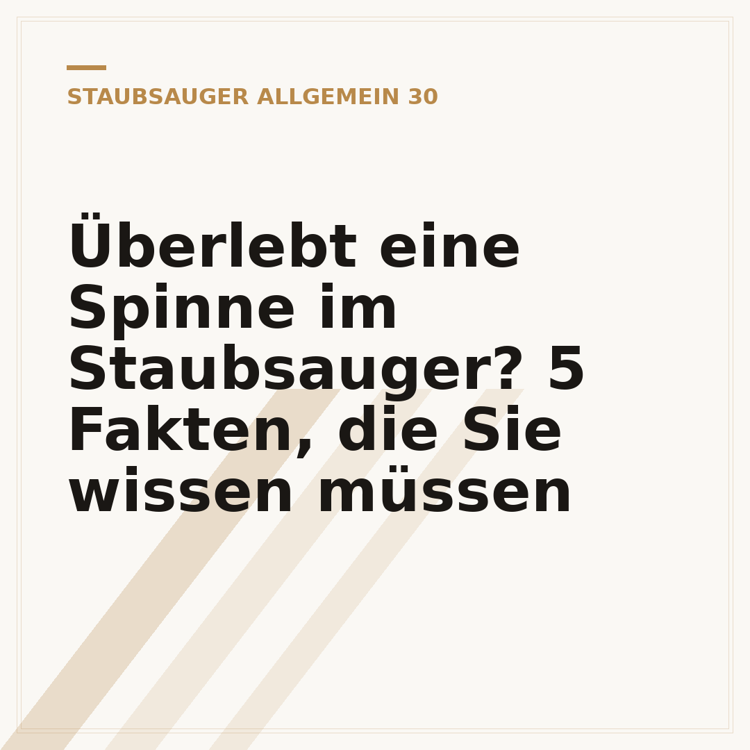 Überlebt eine Spinne im Staubsauger? 5 Fakten, die Sie wissen müssen