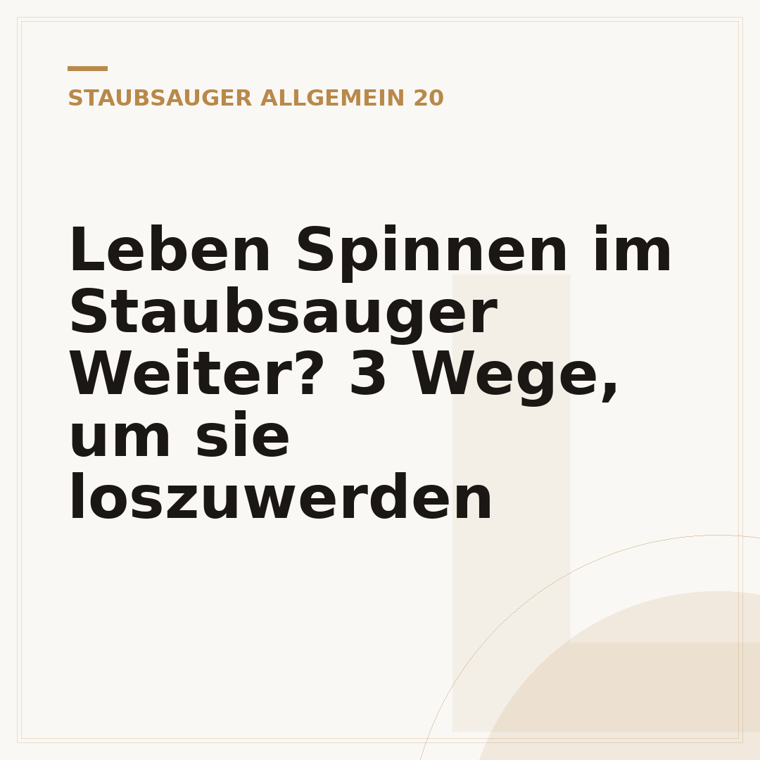 Leben Spinnen im Staubsauger Weiter? 3 Wege, um sie loszuwerden