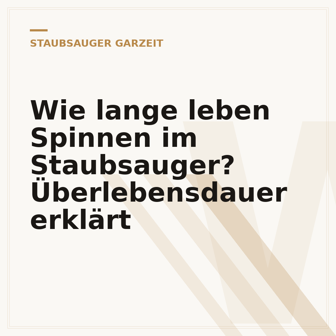 Wie lange leben Spinnen im Staubsauger? Überlebensdauer erklärt