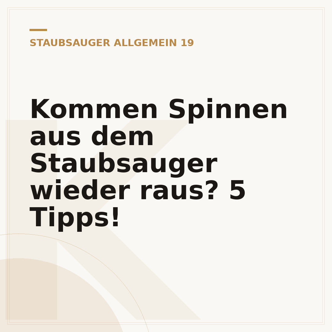 Kommen Spinnen aus dem Staubsauger wieder raus? 5 Tipps!