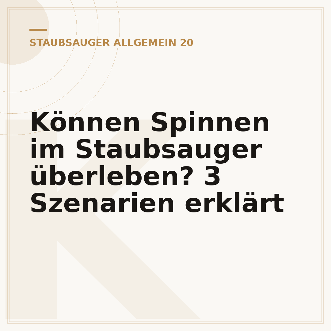 Können Spinnen im Staubsauger überleben? 3 Szenarien erklärt