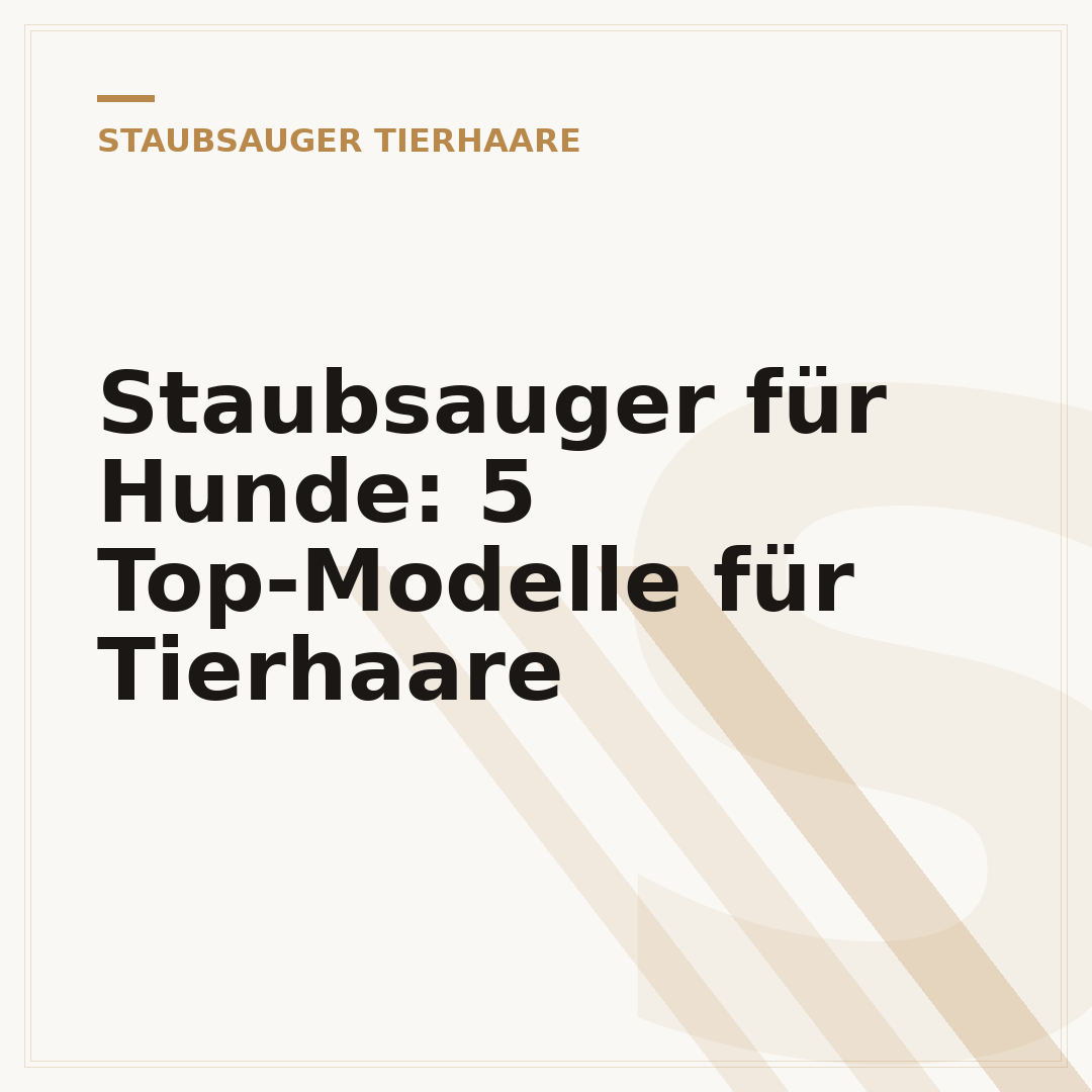 Staubsauger für Hunde: 5 Top-Modelle für Tierhaare