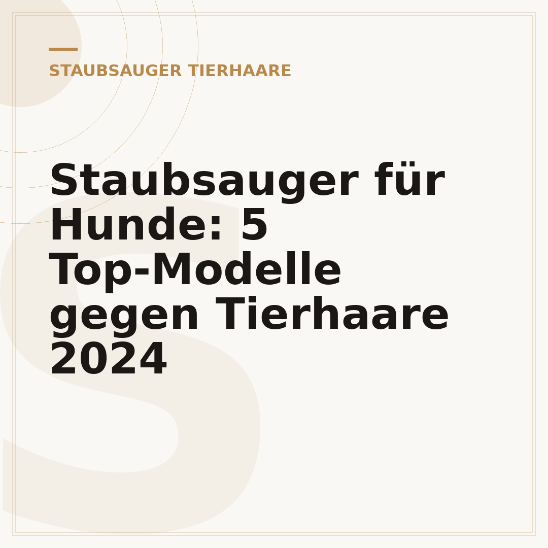 Staubsauger für Hunde: 5 Top-Modelle gegen Tierhaare 2024