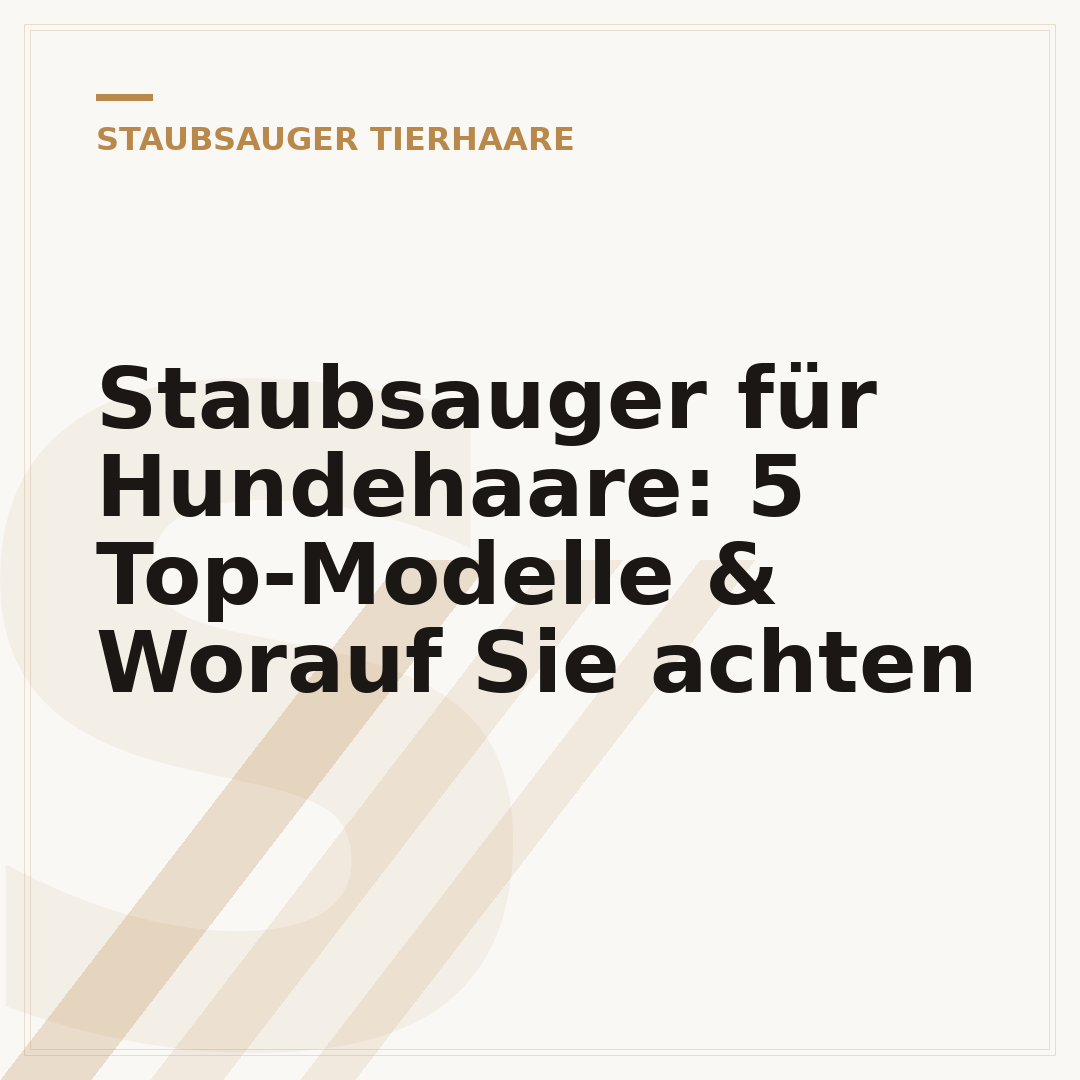 Staubsauger für Hundehaare: 5 Top-Modelle & Worauf Sie achten