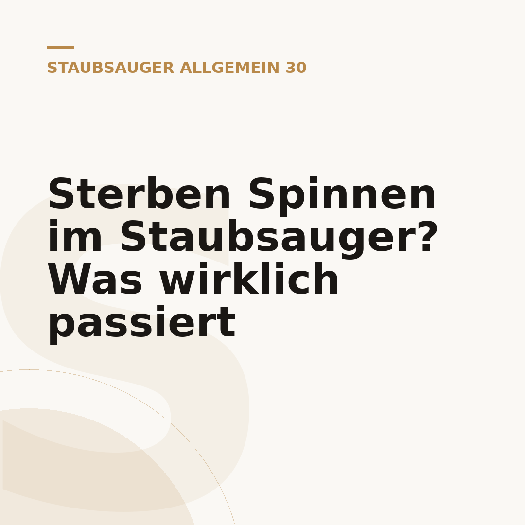 Sterben Spinnen im Staubsauger? Was wirklich passiert