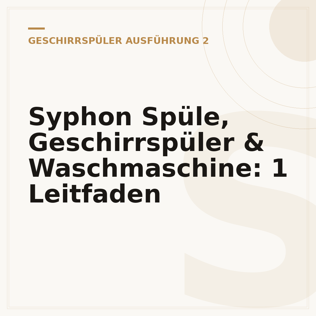 Syphon Spüle, Geschirrspüler & Waschmaschine: 1 Leitfaden