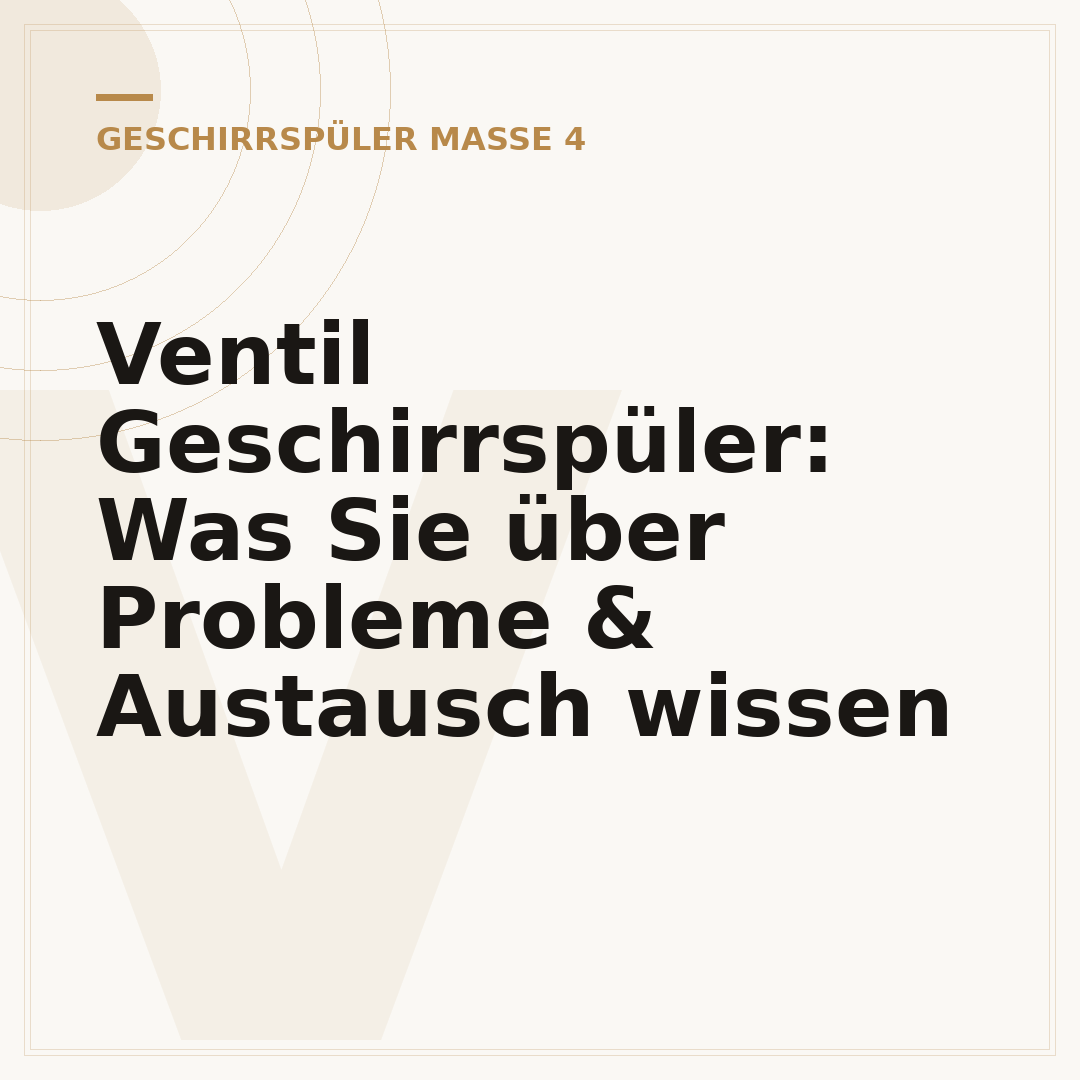 Ventil Geschirrspüler: Was Sie über Probleme & Austausch wissen