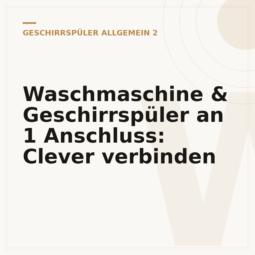 Waschmaschine & Geschirrspüler an 1 Anschluss: Clever verbinden