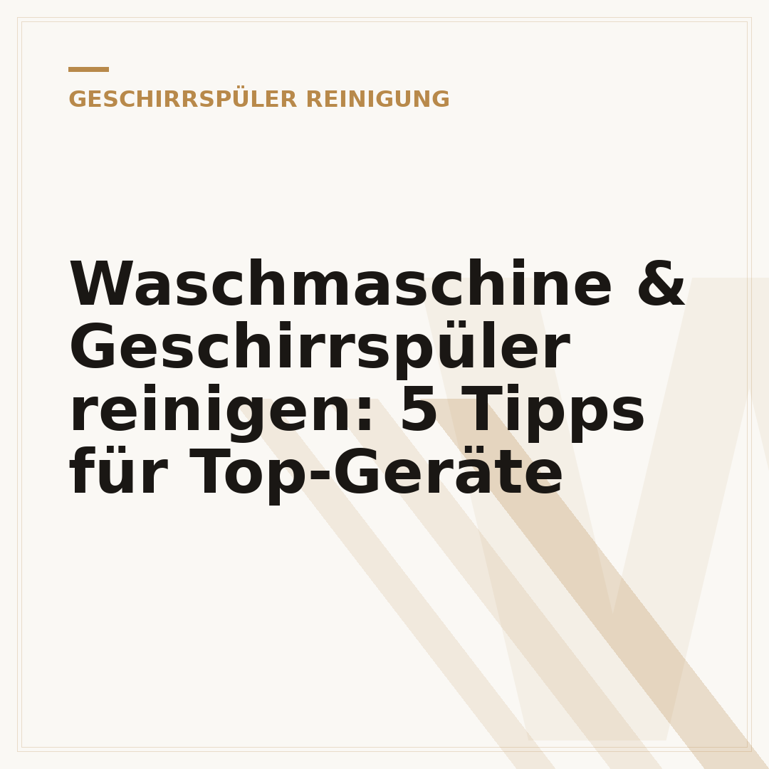 Waschmaschine & Geschirrspüler reinigen: 5 Tipps für Top-Geräte