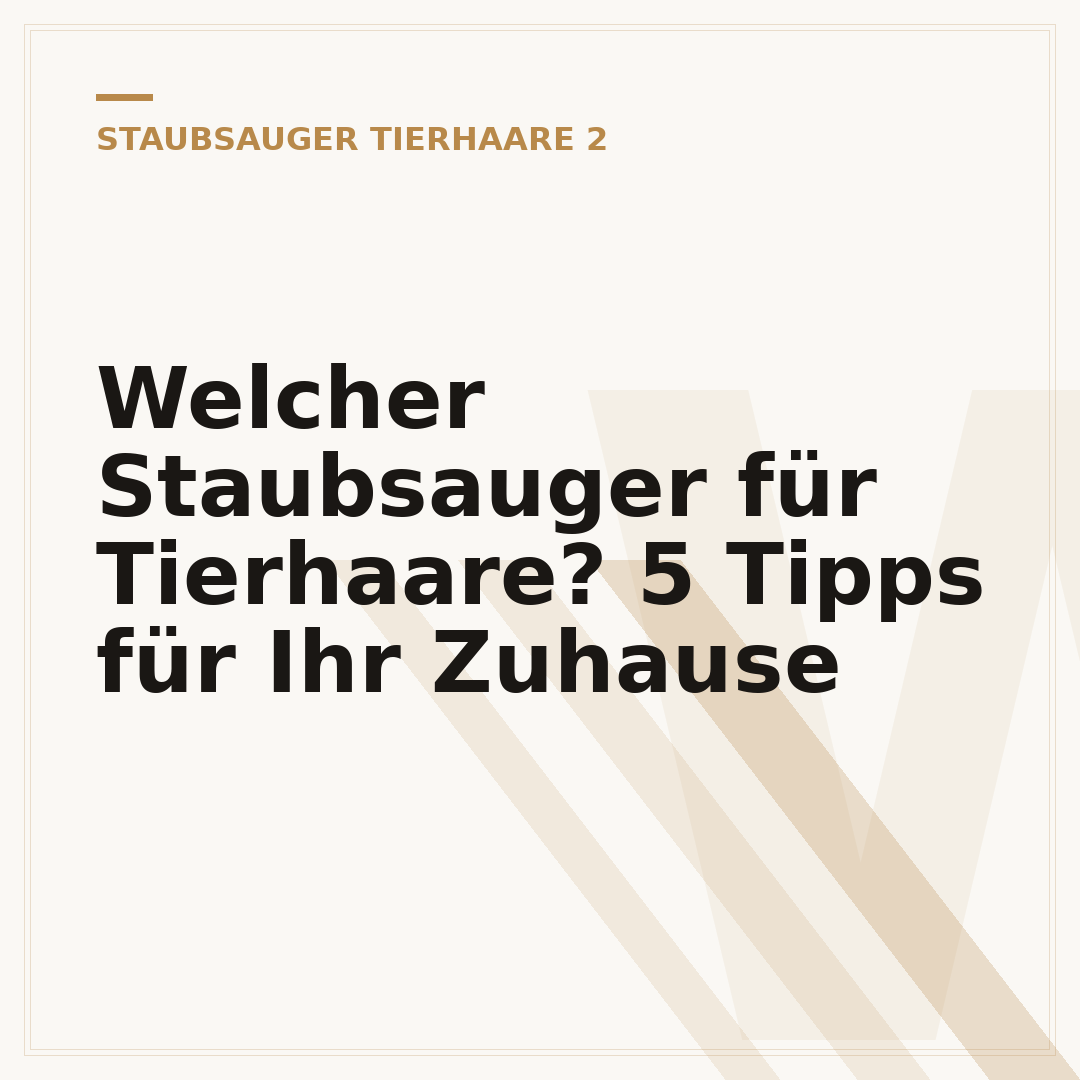Welcher Staubsauger für Tierhaare? 5 Tipps für Ihr Zuhause